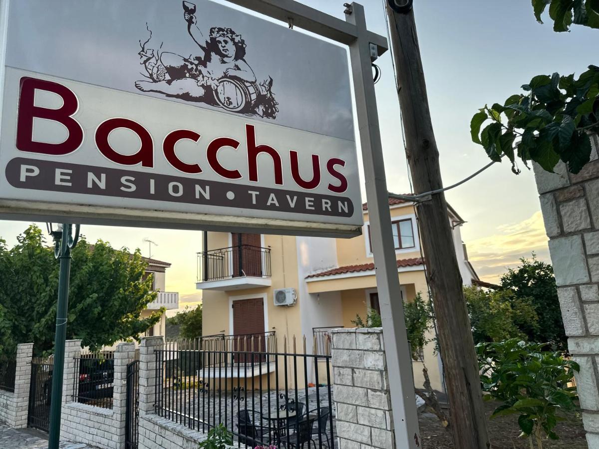 Bacchus Villa Archea Pissa Exterior photo